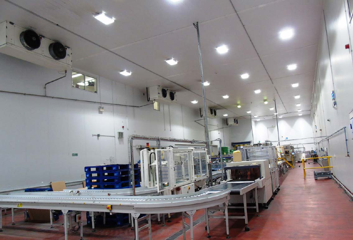 Anglia Free Range Eggs - Lighting Anglia Free Range Eggs - Lighting